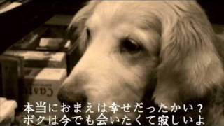 犬のうた 〜ありがとう〜 フォトトレイラー 歌詞有り