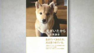 犬がいたから