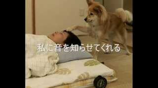 聴導犬ユーザーstory