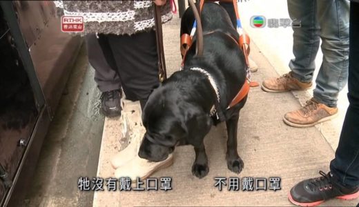 RTHK-鏗鏘集-我的導盲犬-2013-1-07