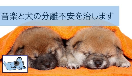 犬や子犬のためのリラクゼーションの夢の音楽！癒しの音楽の犬