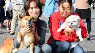 ご長寿犬に表彰