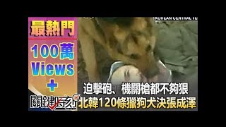 迫擊砲、機關槍都不夠狠　北韓120條獵狗「犬決」張成澤！1021213-4