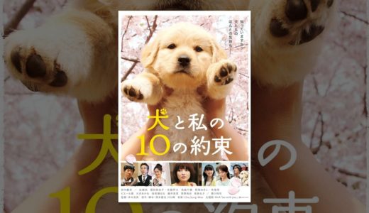 犬と私の１０の約束