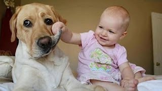 犬と赤ちゃん 謎の会話動画特集！