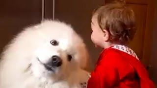 【犬と赤ちゃん】かわいい赤ちゃんにアピール「ねぇねぇあそんでよ～」