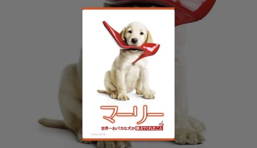 マーリー　世界一おバカな犬が教えてくれたこと （字幕版）