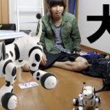 はじめ、ロボット犬を飼う