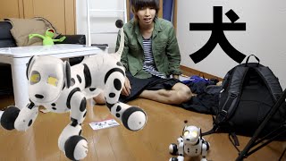 はじめ、ロボット犬を飼う