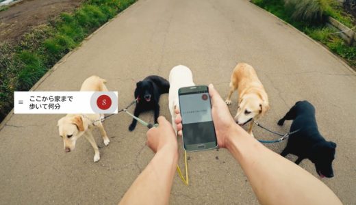 Google アプリ：「犬が散歩」篇