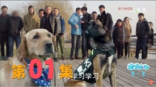 神犬小七 01 | Hero dog: Xiaoqi  01