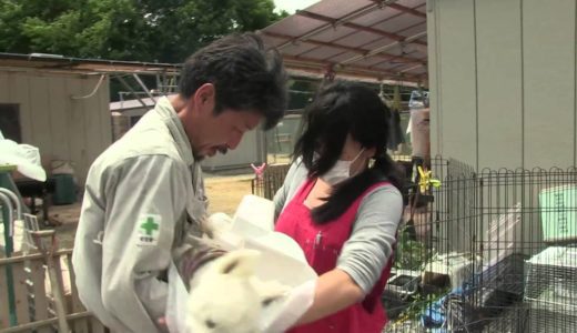 「犬に名前をつける日」予告編