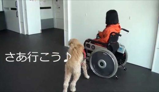 介助犬のいる時、いない時①　制作：日本聴導犬協会