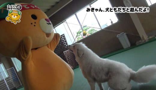 25/47　みきゃん、犬ともだちと遊んだよ！