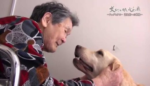 犬たちが開く心の扉～ドッグセラピー 認知症への挑戦～