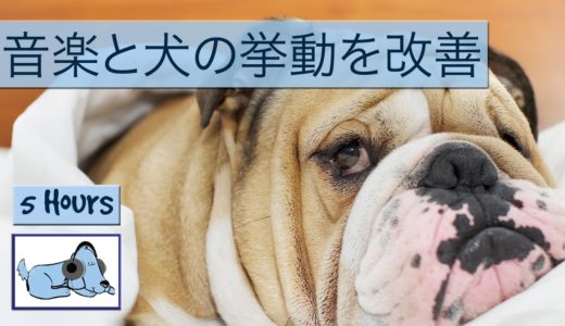 クレートトレーニング中に冷静を助け、あなたの犬をリラックスする音楽