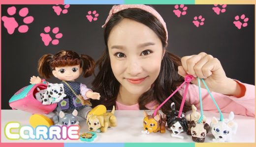 凱利的多種類寵物狗犬訓練玩具 | 凱利和玩具朋友們 CarrieAndToys