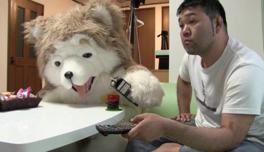 お手伝い犬　犬一だわん！