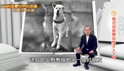 日本澀谷車站「忠犬八公」銅像的由來│郝廣才在中視20160804