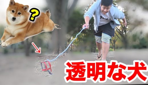 “透明な犬”を散歩してみたドッキリ！！invisible dog prank