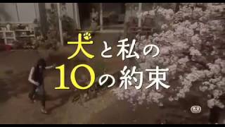 映画「犬と私の10の約束」予告