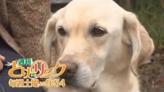 丸ちゃんと一緒に「補助犬」を学ぼう！