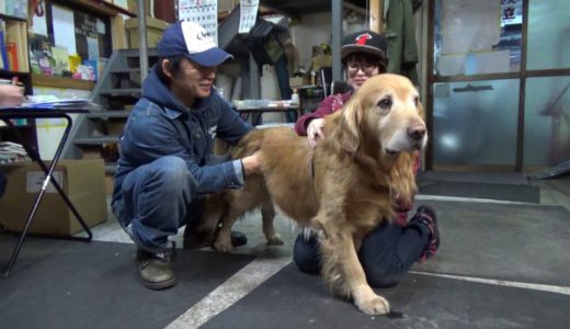 爪切り時などで暴れる犬の正しい抑え方