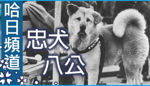 忠犬八公的故事 - 澀谷車站八公銅像的由來