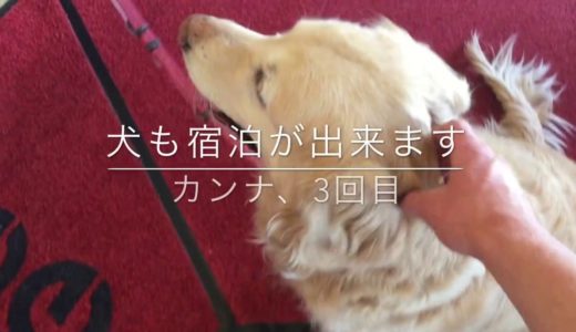 蔵王温泉 | スキー向け・犬同伴OKのヨーロピアンスタイルプチホテル【ロッジスコーレ Lodge Scole】