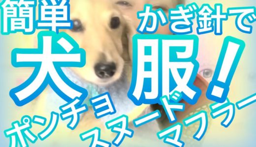 元男の子の愛犬君‼️かぎ針編みで犬用スヌード・ポンチョ・マフラー・襟巻き！主に冬糸の毛糸で編んだ犬服のご紹介！犬のマフラー編みましょう！