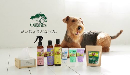 【犬の歯の黄ばみに】made of Organics ホワイトニングトゥースペースト を使った歯みがきの方法