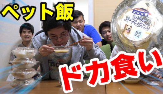 【大食い】犬用うどんで「わんこうどん」したら名勝負が生まれた！！