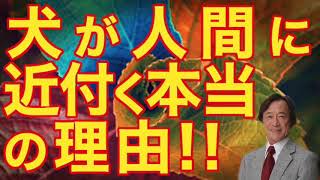 武田鉄矢×水谷加奈：犬が人間に近づく本当の理由！99％の人が知らない犬の習性！