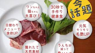 犬は鹿肉が大好物！北海道の贈り物 鹿肉販売の未楽来工房