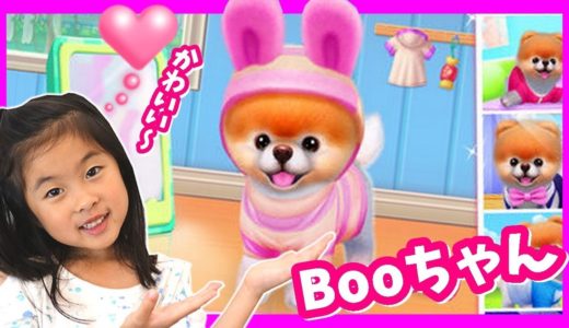 ペットのブーちゃんをお世話するよ💛 世界一かわいい犬 Boo😍 ゲーム 実況 Boo - The World's Cutest Dog