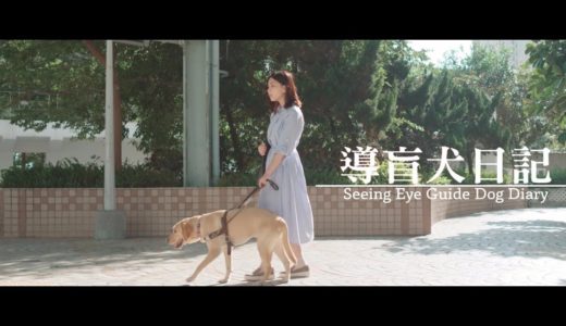 導盲犬日記  Seeing Eye Guide Dog Diary