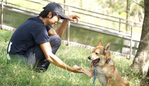 保護犬たちにも人のぬくもりを伝えたい