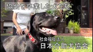 協会を卒業した犬たち