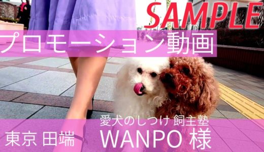 犬のしつけ・WANPO様(東京・田端)『飼主塾』2分バージョン by にわか明太子 A smartphone video of a dog trainer in Tokyo.