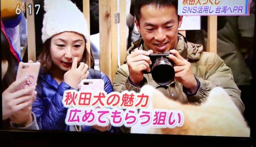 台灣秋田犬觀光體驗調查員 日本NHK報導 あきたいぬ Akita inu