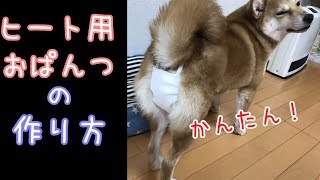 【簡単】犬のヒート用おパンツの作り方 柴犬♀ オムツが苦手なワンちゃんにオススメ！