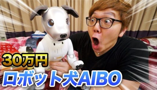 【30万円】我が家に犬がやってきた！【AIBO】