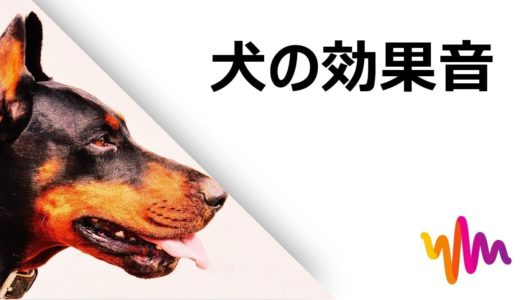 犬が鳴く音 HD｜犬のフリー効果音素材(効果音数：27)