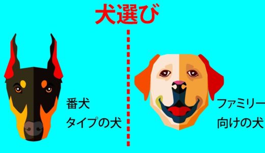 あなたにぴったりの犬種を見つけられる完全ガイド