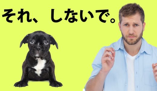 犬が、本当は嫌がっている１２の習慣