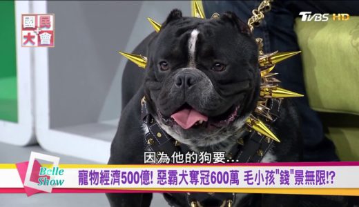 惡霸犬狗界愛馬仕好貴!奪冠600萬! 寵物經濟500億! 毛小孩