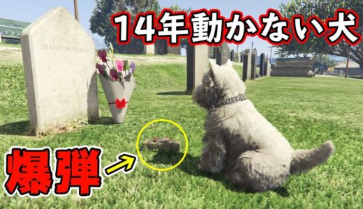 【GTA5】墓石に寄り添う犬は、何をしても動かないのか！？