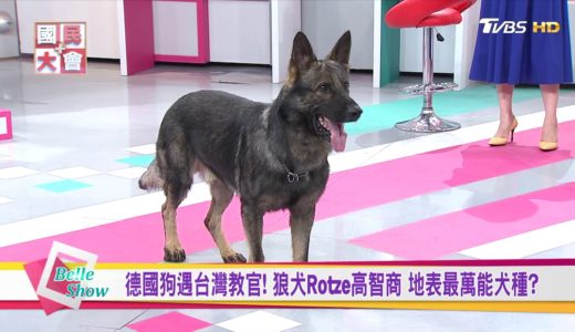 終極保鑣犬! 400萬護衛犬一口令一動作 地表最猛犬現身!? 國民大會 20180629  (完整版)