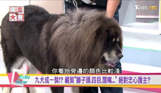 最貴犬王? 藏獒”小王子”2億才肯賣!! 少一塊錢都不行? 國民大會 20180815 (完整版)