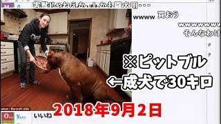 「もこうが犬欲しいらしいから糞デカイ犬買ってあげよう」【2018/09/02】